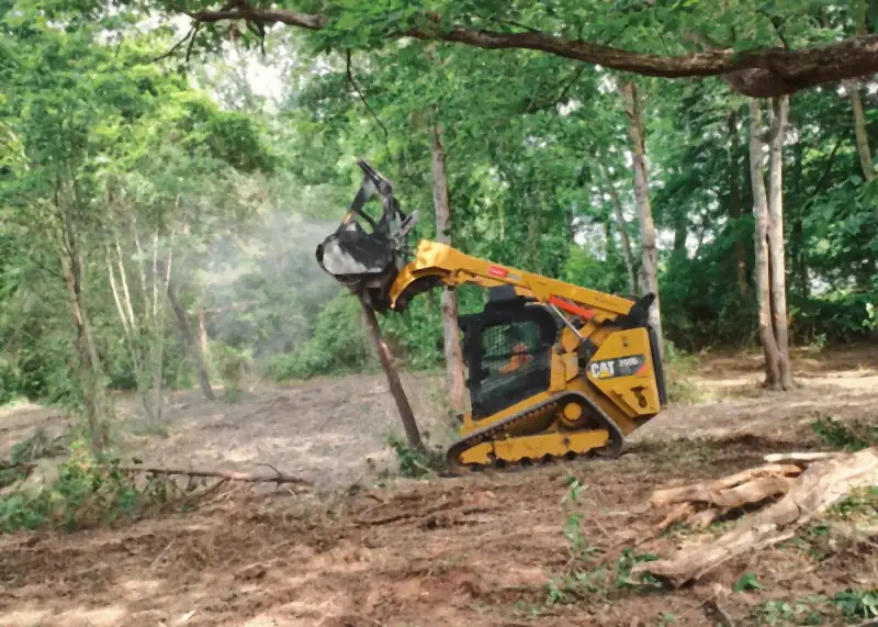 Forestry mulcher clearing brush under hardwoods